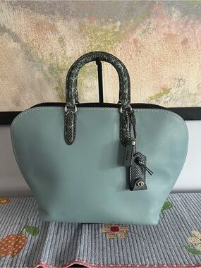 Coach 1941 Dakotah with Colorblock Snakeskin Detail Leather Satchel